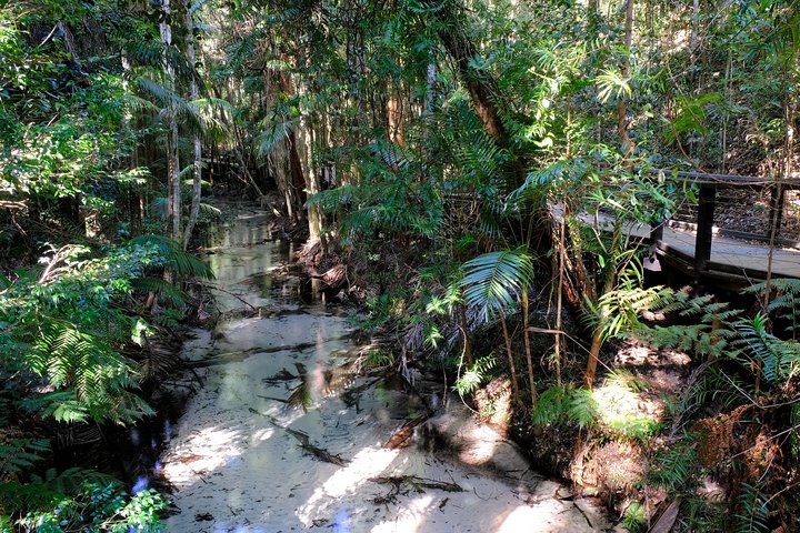 Dagstur till K'gari (Fraser Island) - från Rainbow Beach