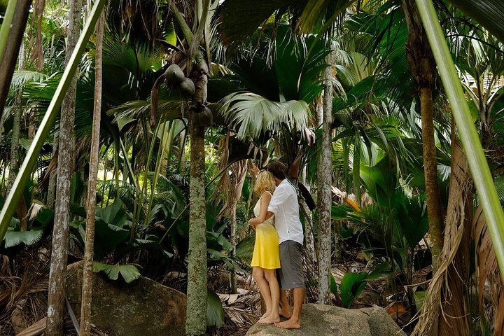 Excursion d'une journée à la découverte de la Vallée de Mai et de l'Anse Lazio sur l'île de Praslin