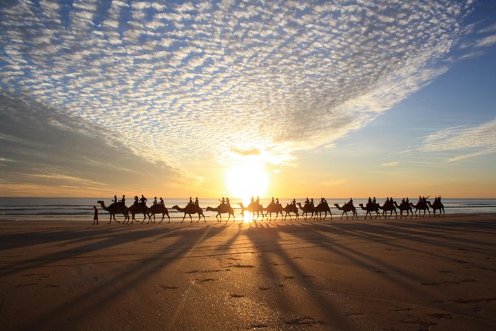 Tour de 1 hora en camello al atardecer por Broome en Cable Beach, Broome