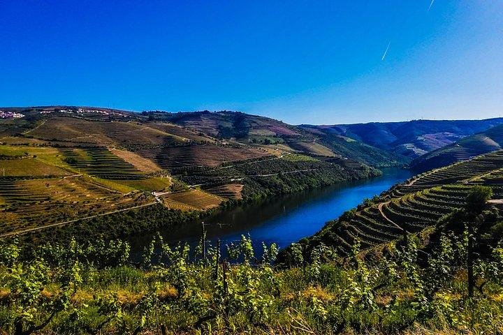 Det bedste ved Douro Valley vin heldags privat tur