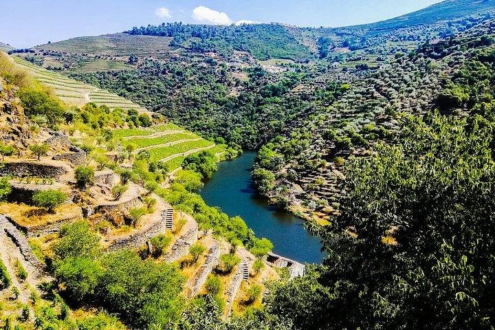 Det bedste ved Douro Valley vin heldags privat tur