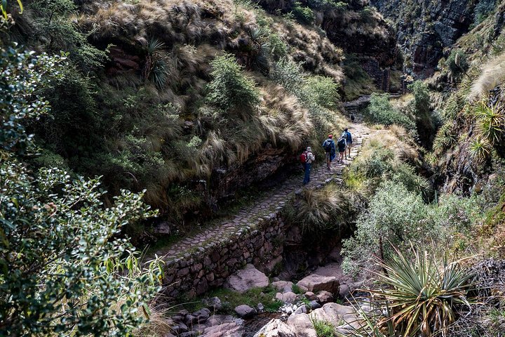 Camino Inca a Huchuycosco (Salida en grupo)