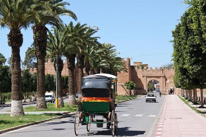 Excursão de um dia em Marrakech a partir de Agadir: Medina & Souks Tour