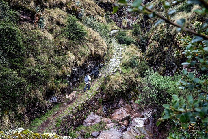 Camino Inca a Huchuycosco (Salida en grupo)