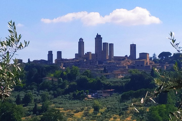Cours de cuisine dans une vraie ferme toscane