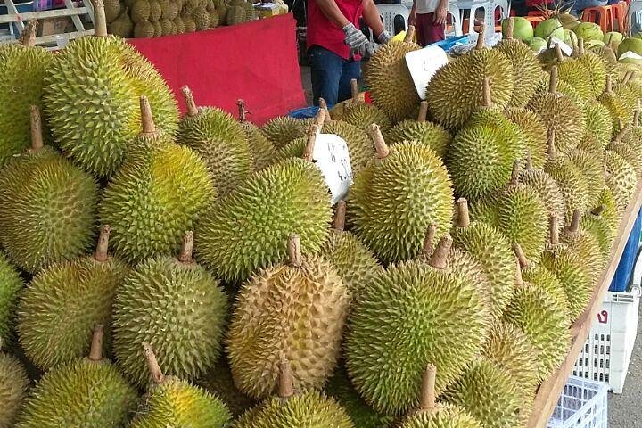 *15 timers Kuala Lumpur-biltur fra Johor Bahru w' Tour Guide