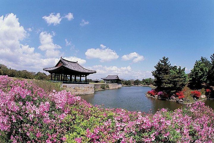 Ganztägige private Gyeongju UNESCO Heritage Tour: ein Blick in Silla