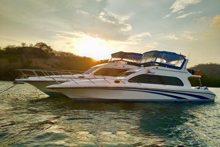 Excursão exclusiva Early Bird Komodo: Beat the Crowds por Speed Boat