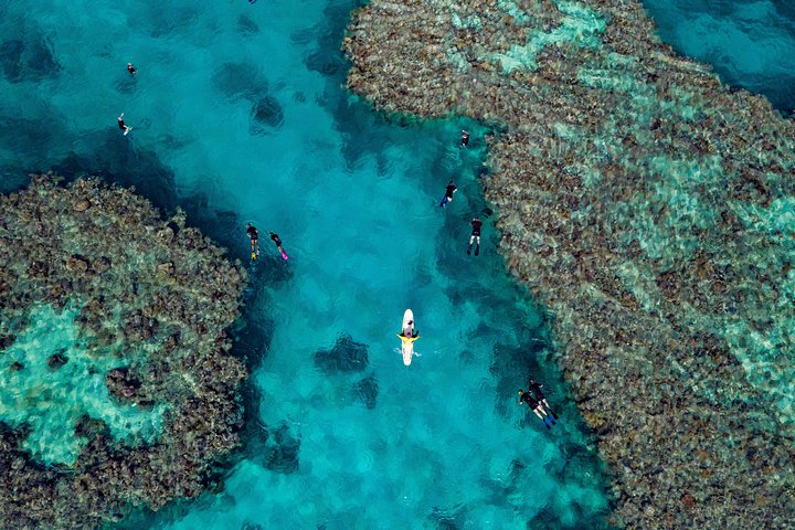Snorkeling di un'intera giornata sulla Grande Barriera Corallina da Hamilton Island