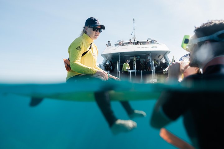 Snorkeling di un'intera giornata sulla Grande Barriera Corallina da Hamilton Island