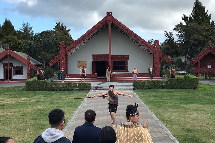 Tour cultural y geotérmico del País de las Maravillas de Rotorua – Partida de Tauranga