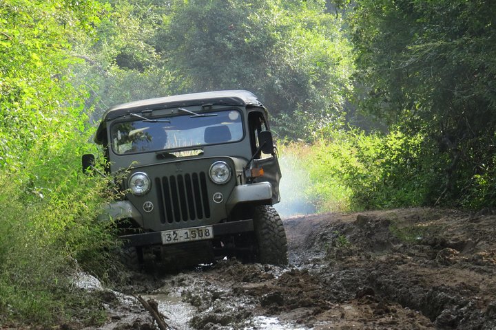 Entrada al Parque Nacional Wasgamuwa con Safari Privado