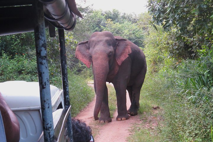 Entrada al Parque Nacional Wasgamuwa con Safari Privado