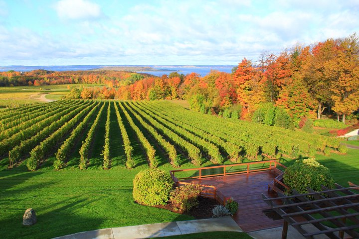 Excursão Traverse City Wine de 5 horas: 4 vinícolas na Old Mission Peninsula