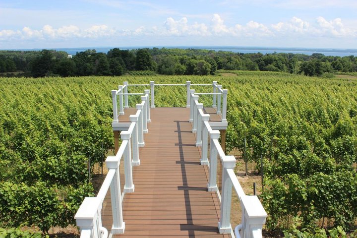 Excursão Traverse City Wine de 5 horas: 4 vinícolas na Old Mission Peninsula