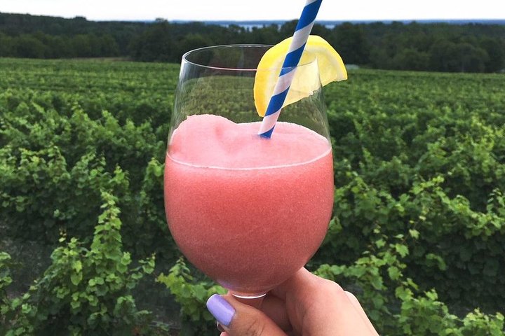 Excursão Traverse City Wine de 5 horas: 4 vinícolas na Old Mission Peninsula