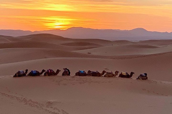 Viagem ao deserto de Merzouga saindo de Erfoud, passeio de camelo ao pôr do sol sobre as dunas