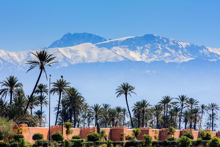 Excursão de um dia em Marrakech a partir de Agadir: Medina & Souks Tour