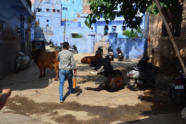 Visite privée de la ville bleue de Jodhpur avec prise en charge et retour à l'hôtel