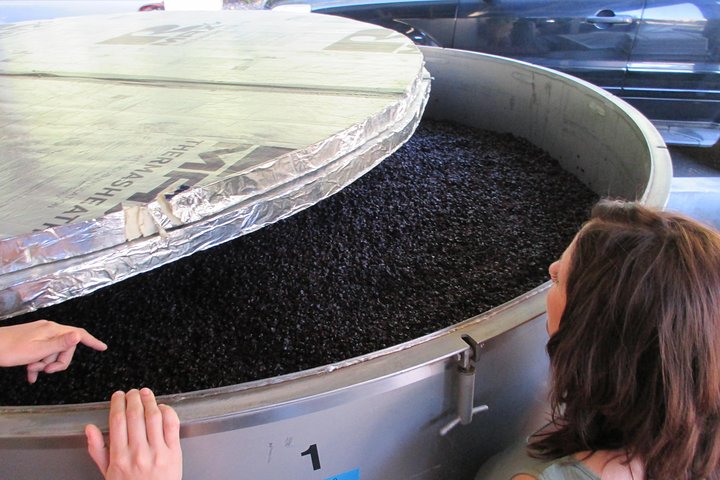 6 uur privé aangepaste wijntour voor maximaal 7 gasten Napa & Sonoma