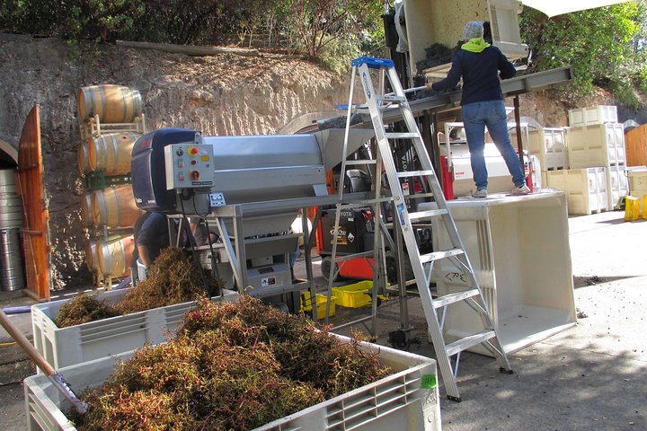 6 uur privé aangepaste wijntour voor maximaal 7 gasten Napa & Sonoma