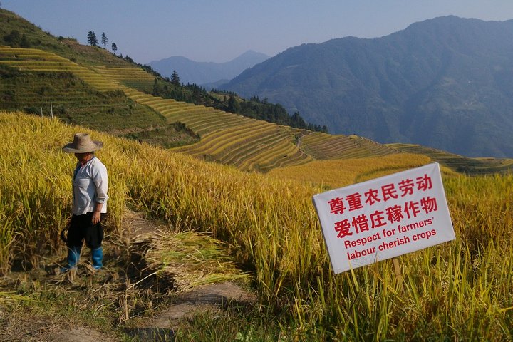 Avventura in bici di 7 giorni a Guilin e Longji Rice Terraces