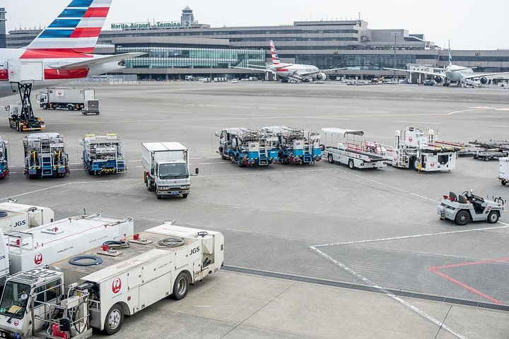 Traslado privado de llegada: Aeropuerto Internacional de Narita a Tokio Disney