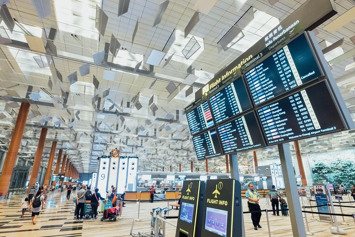 Traslado privado de llegada: Aeropuerto Internacional de Narita a Tokio Disney