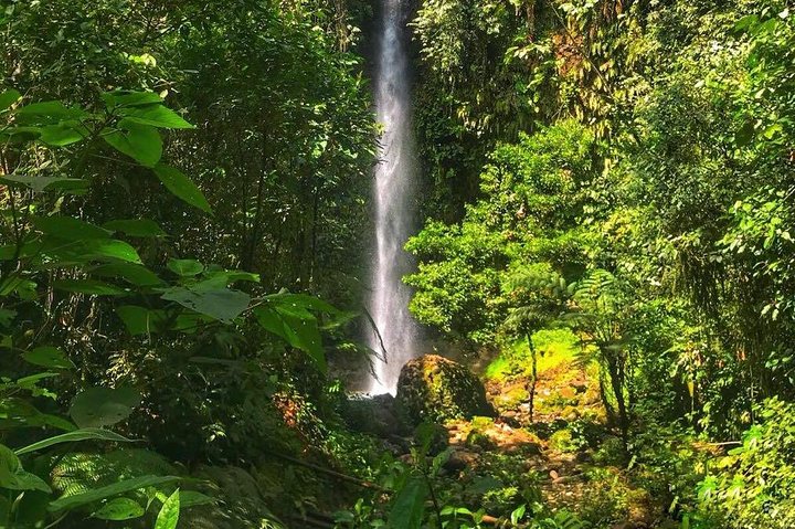 Amazon Tour no Equador: Viagem de um dia a Puyo saindo de Baños