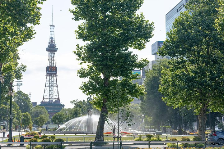 Trasferimento di arrivo privato: nuovo aeroporto di Chitose a Sapporo City