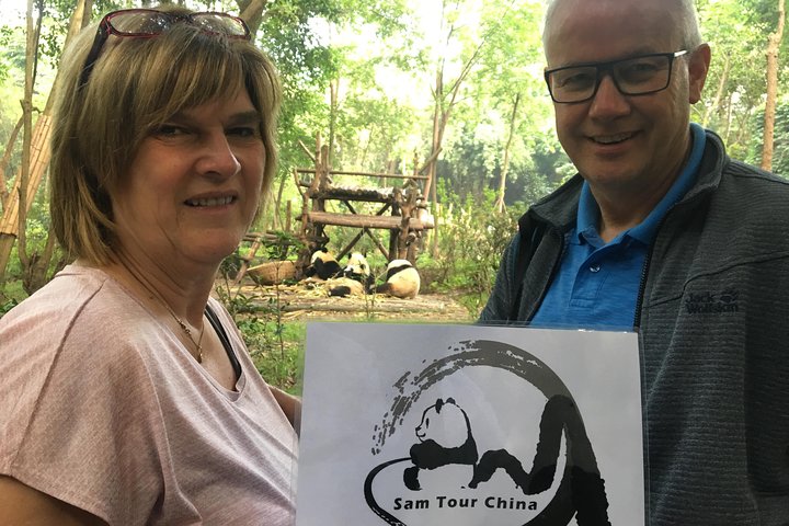 Visite privée d'une demi-journée du centre d'élevage de pandas de Chengdu avec bénévolat en option
