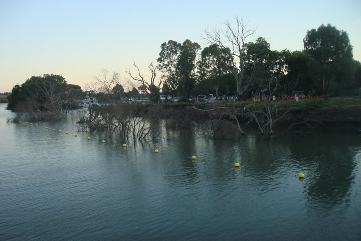 Adelaide Hills Tour con crociera con pranzo sul fiume Murray