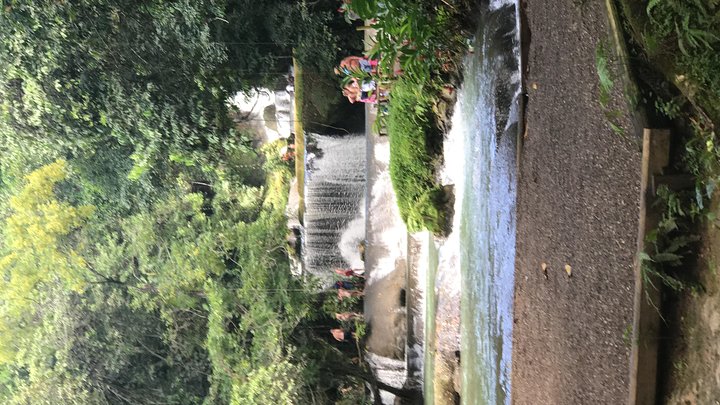 Tour privado de aventura de día completo a YS Falls con recogida