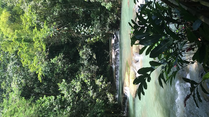 Tour privado de aventura de día completo a YS Falls con recogida