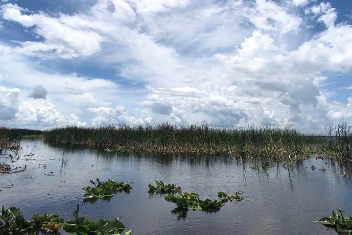 Luftbåtstur i Florida Everglades och inträde till Wild Florida med lunch som tillval