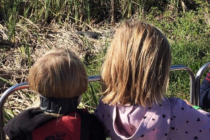 Luftbåtstur i Florida Everglades och inträde till Wild Florida med lunch som tillval