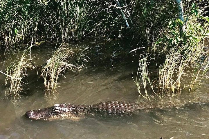 Everglades Small-Group Tour from Miami with Transportation