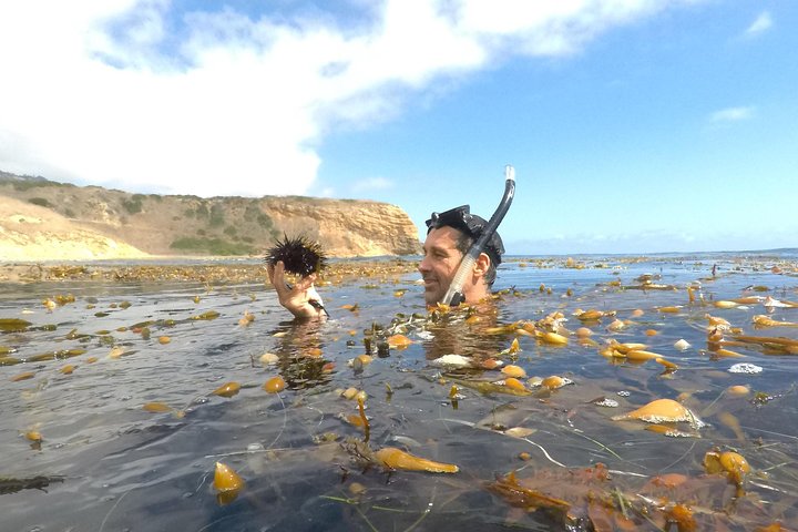 Snorkling Los Angeles