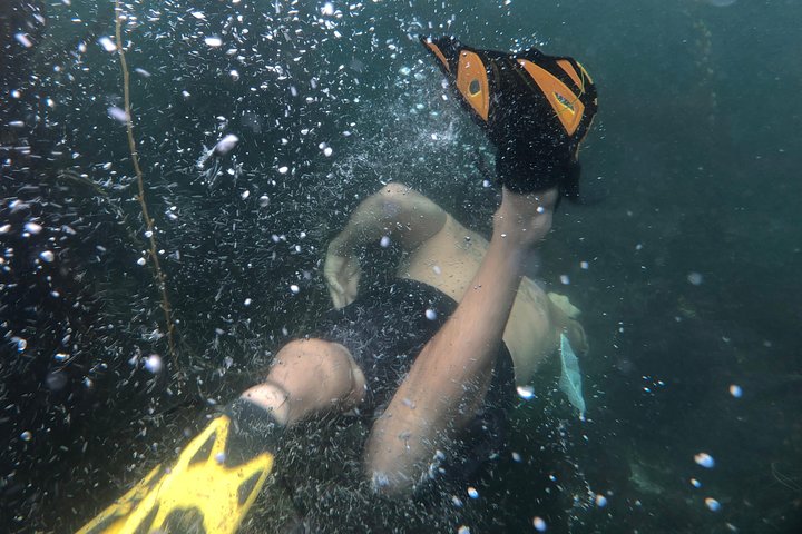 Snorkling Los Angeles