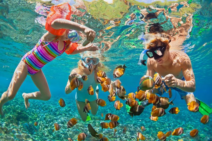 50 'luxe jacht. Privé catamaran-snorkel- en strandervaring van een hele of halve dag