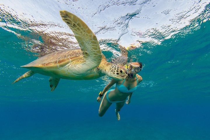 50 'luxe jacht. Privé catamaran-snorkel- en strandervaring van een hele of halve dag