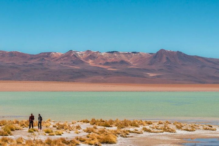 Excursão de 4 dias ao Salar de Uyuni saindo do Atacama> quarto privado disponível