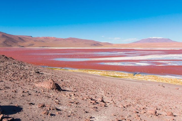 Excursão de 4 dias ao Salar de Uyuni saindo do Atacama> quarto privado disponível