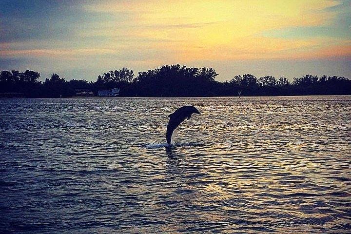 Passeio de barco ao pôr do sol com golfinhos na Ilha Anna Maria
