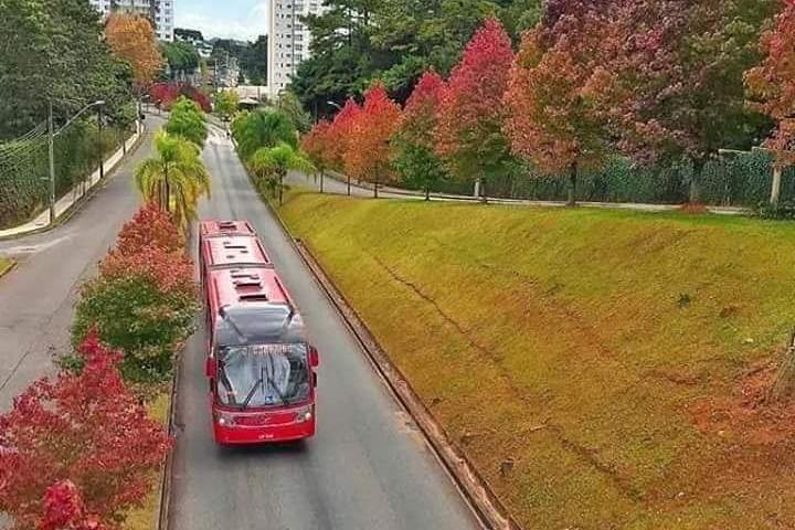 Privat bytur - Top postkort fra Curitiba af Pinheiro Turismo