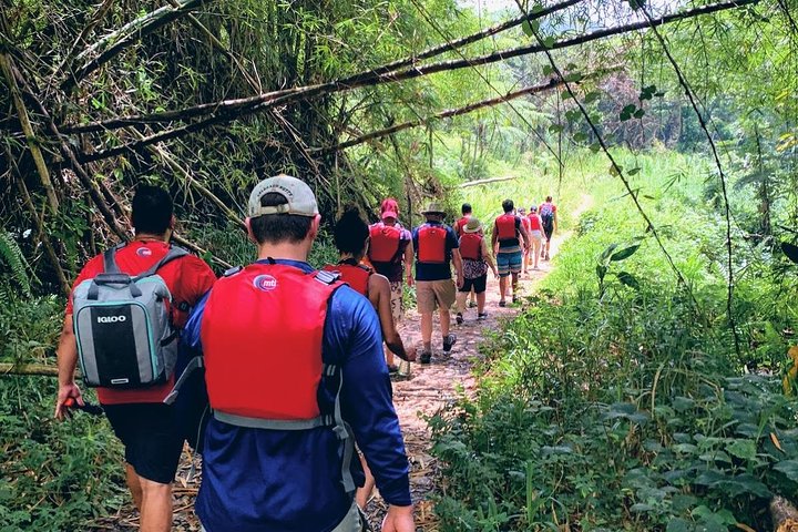 To-i-én-dagstur: El Yunque og Bio Bay-tur med transport