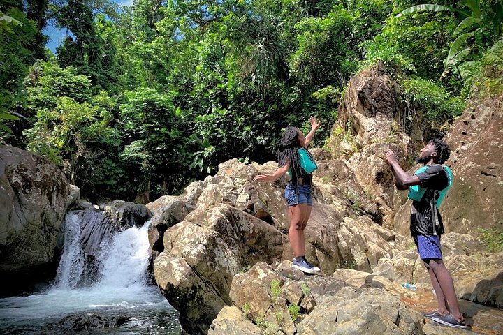 To-i-én-dagstur: El Yunque og Bio Bay-tur med transport