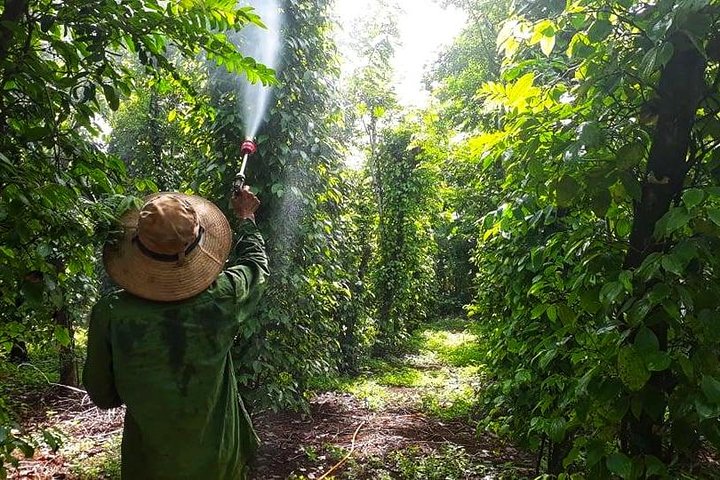 Kochen, Landwirtschaft und Wasserfall in Vietnam-Landschaft