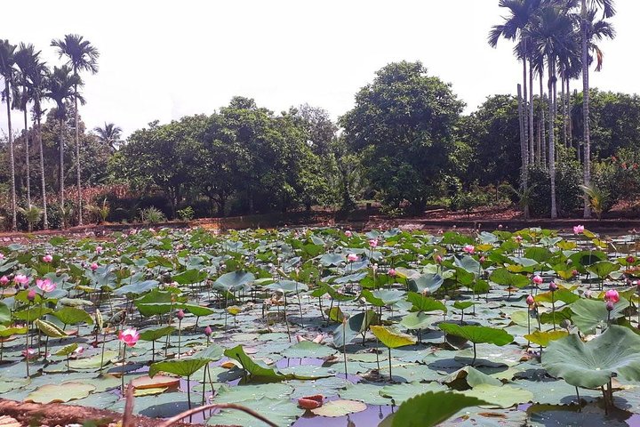 Kochen, Landwirtschaft und Wasserfall in Vietnam-Landschaft