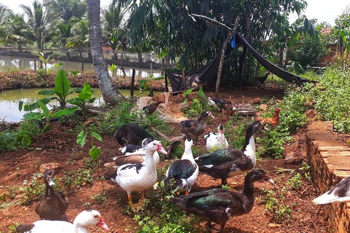 Kochen, Landwirtschaft und Wasserfall in Vietnam-Landschaft